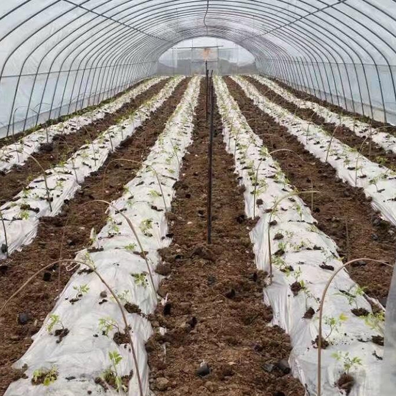 Weed-suppressing Plastic Mulch Film