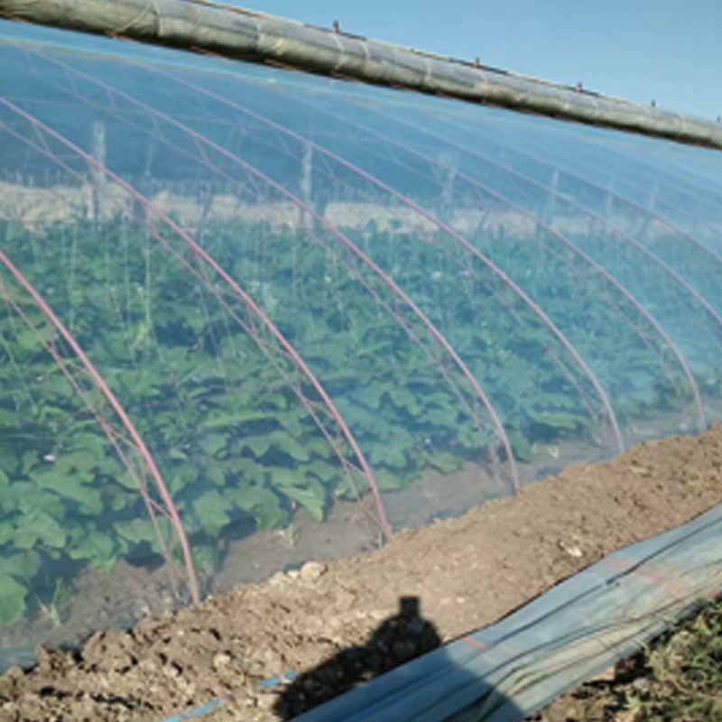 EVA High-insulation Anti-fog Film